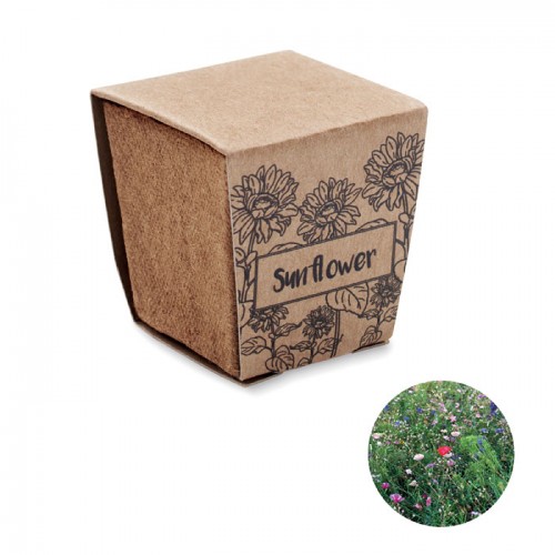 SUNFLOWER KIT - Sunflower growing kit in 