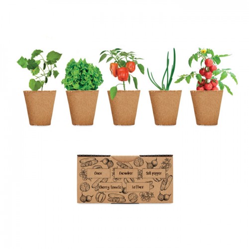 SALAD - Salad growing kit in 