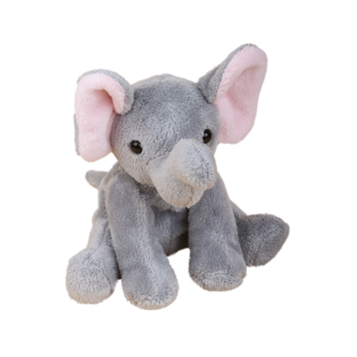 Zoo Animal Elefant Linus