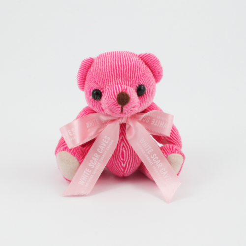 12.5cm Raspberry Candy bear Bow