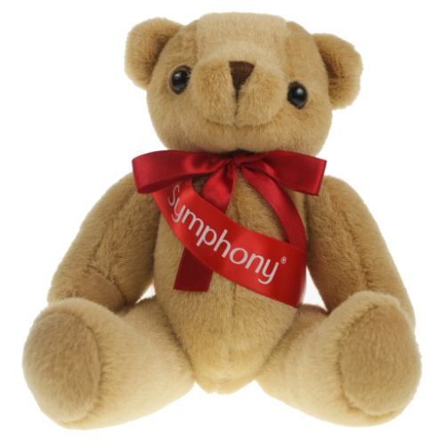 Honey Bear 25cm Sash