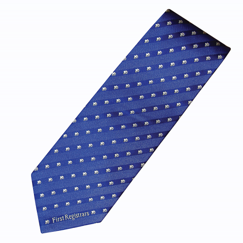 Polyester Ties