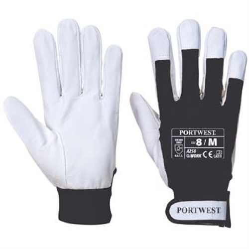 Tergsus Gloves (A250)