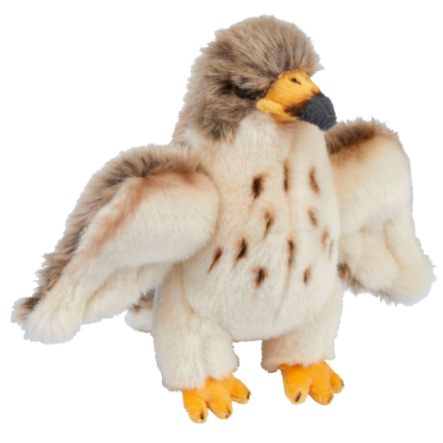 PEREGRINE FALCON Soft Toy