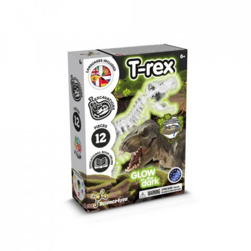 Fossil Excavation Kit I. Educational game for children